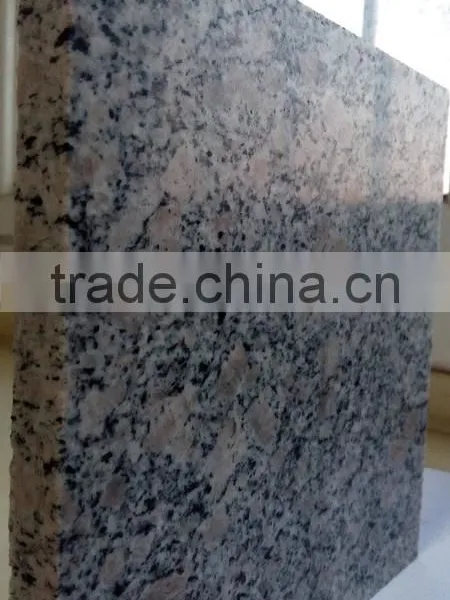 Hot Sale! Chinese Cheapest Granite Stone G383 photo-4