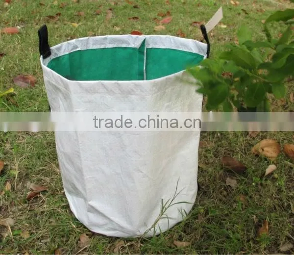 Plant/ Grow Bag photo-5