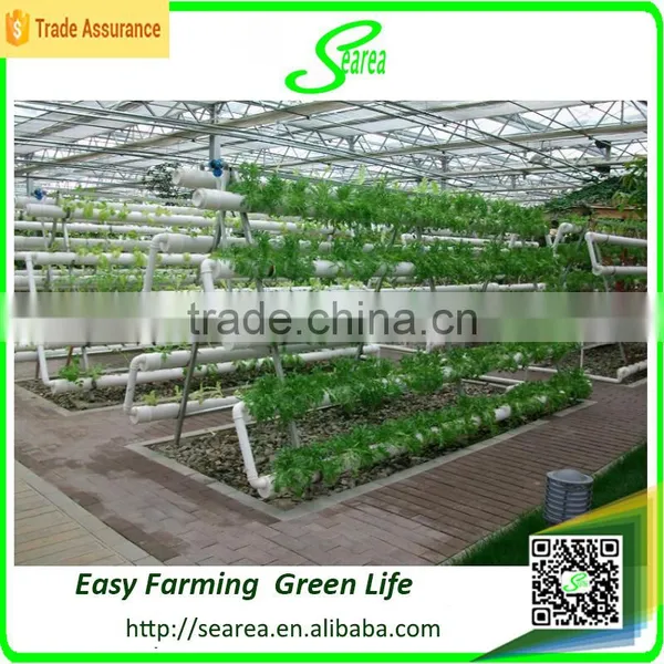 Hot Sale Greenhouse Hydroponic Culture Tray/system for Vegetables photo-2