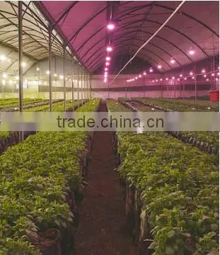 VANQ Led Flower Lights With DR FR White,COB Grow Led Flowering Lamp 18w photo-2