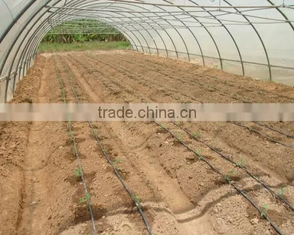 Plastic & Poly Tunnel Greenhouse/factory Price photo-5