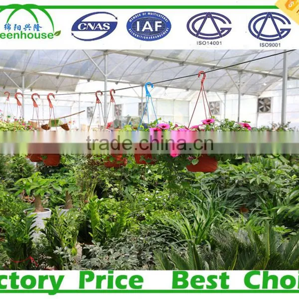 Galvanized Steel Frame Middle East/Africa uv Treated Multi Span Plastic Tunnel Commercial Greenhouse photo-6