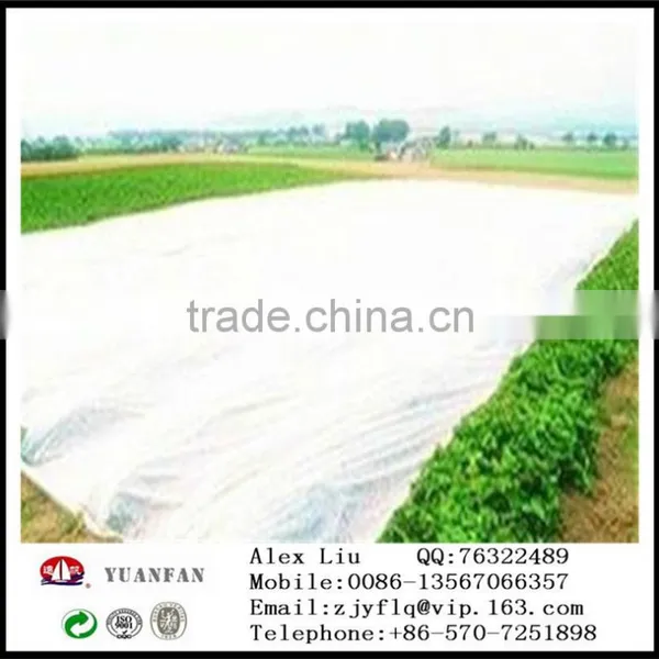 [ Factory Supply ] S / SS Spunbond Agriculture Nonwoven Cover Fabric for Ground Cover / Plant Cover photo-6