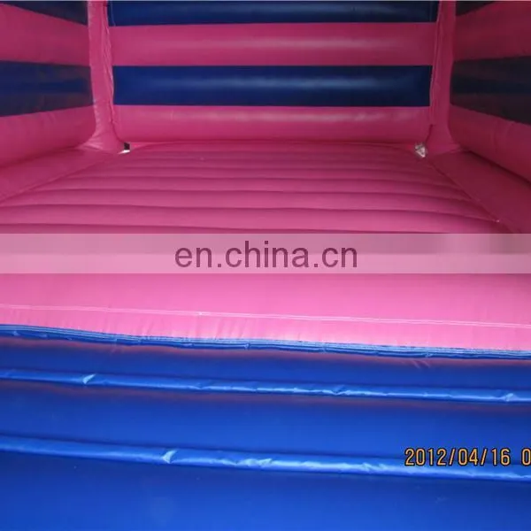 New Design Inflatable Arena for Kids photo-3