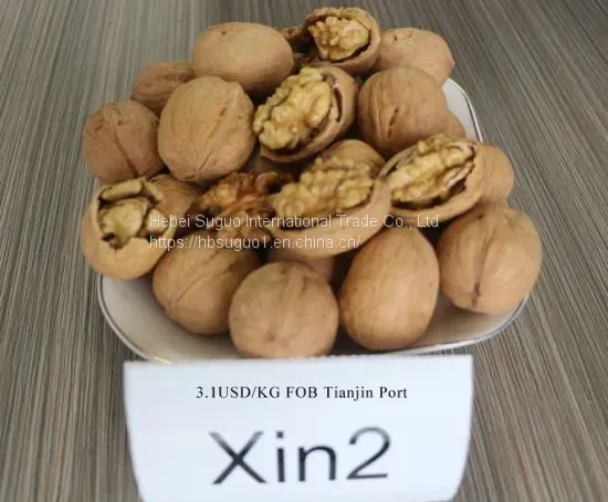 XIN2 Walnut Inshell