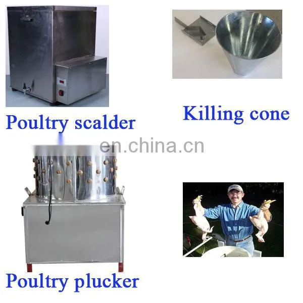 Stainless Steel Quail Plucker / Automatic Plucker Machine for Sale / Chicken Feather Removal Machine photo-3