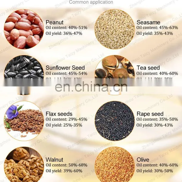 Good Quality Mustard/peanut Oil Press Machine Sunflower/soybean Oil Extraction Machine photo-4