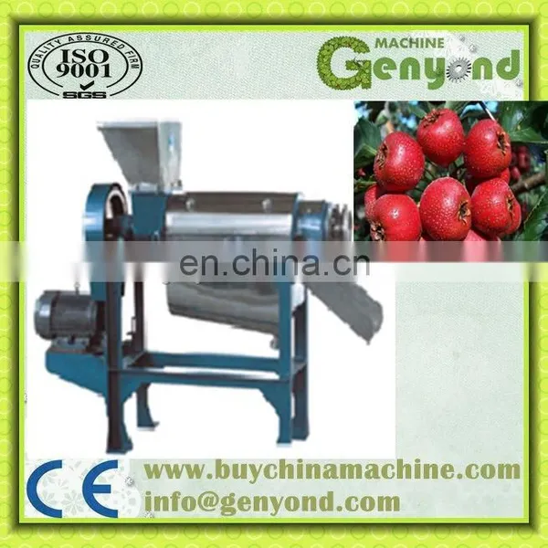 Small Capacity Hawthorn Juice/fresh Fruit Juice Production Line /plant /processing Line /equipment photo-2