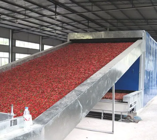 Food Drying Equipment/ Fruit Dryer/microwave Drying Machine photo-5