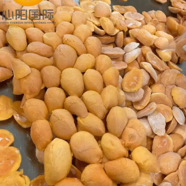Premium IQF Frozen Mango Halves for Retail and Wholesale Distribution
