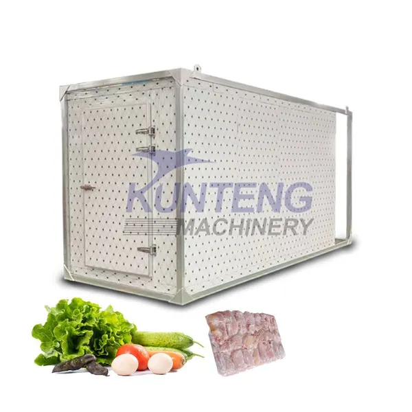 Portable Cold Room Container Fish Walk in Freezer Storage Onion Cold Storage Warehouse