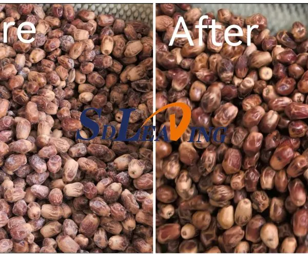 High Speed Automatic Palm Dates Brush Polishing Cleaning Machine Industrial Dry Date Palm Cleaning and Polishing Machine Price photo-5