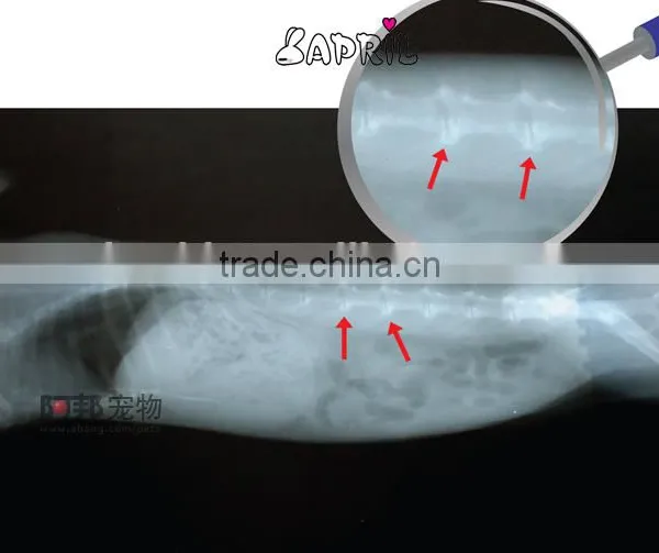 Medical Thermal x Ray Film,x Ray Blue Film ,medical Lab Analyzers