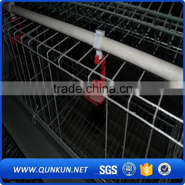 Egg Production Project Poultry Farming Equipment A Type Design Layer Chicken Cage for Sale photo-3