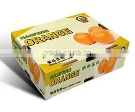 OFFSET Printing Plastic Box Fishing Lure Packaging Box For Display photo-5