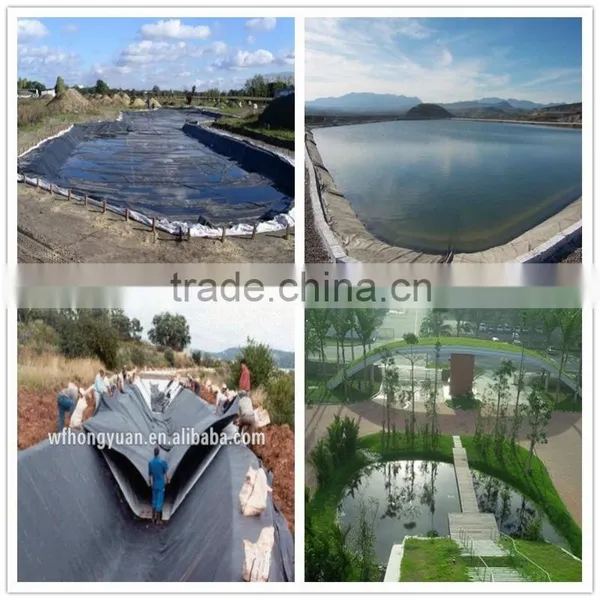 5 mm APP Modified Bitumen Waterproof Membrane With Sand photo-6