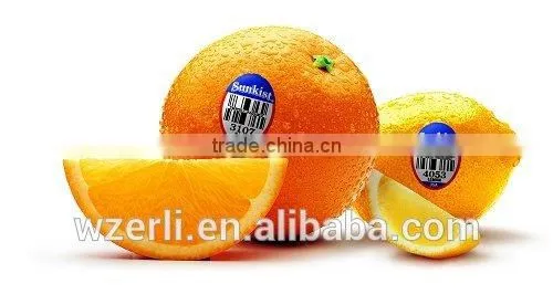 Fruit Design Paper Stickers& Custom Label Design photo-2