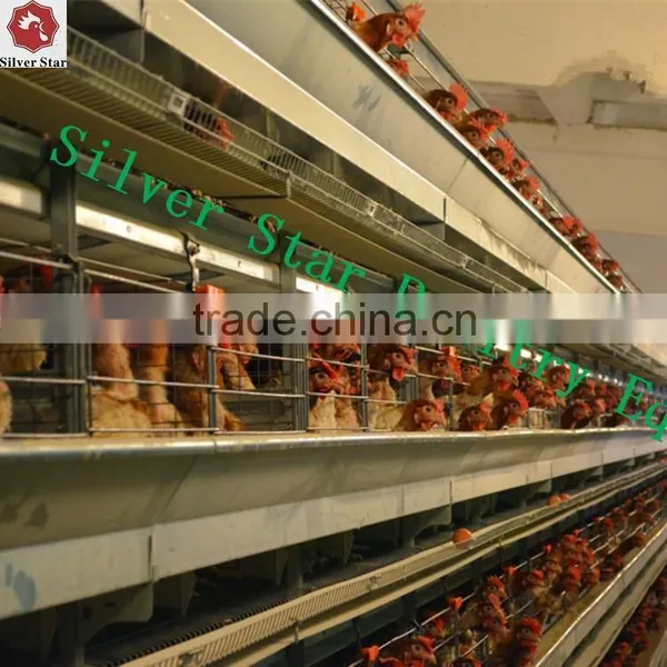 Chicken Layer Cage Used Automatic Layer Poultry Equipment photo-4