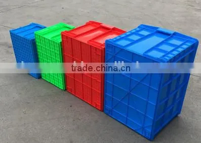 Taizhou New Plastic Injection EU Crate Mould photo-3
