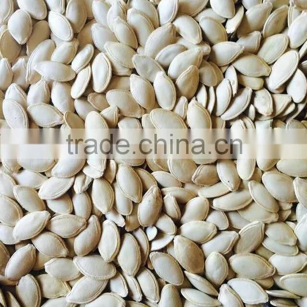 Shine Skin Pumpkin Seeds,2015 New Season photo-2