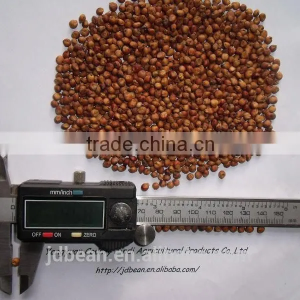 Glutinous Sweet Red Sorghum With High Starch photo-3