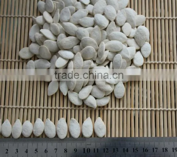 Wholesale Delicious Red Watermelon Seeds photo-6
