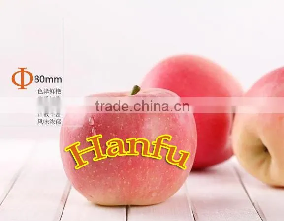 China Supplier of Fresh Red Delicious Bulk Fresh Apples Hanfu Apple Products photo-4