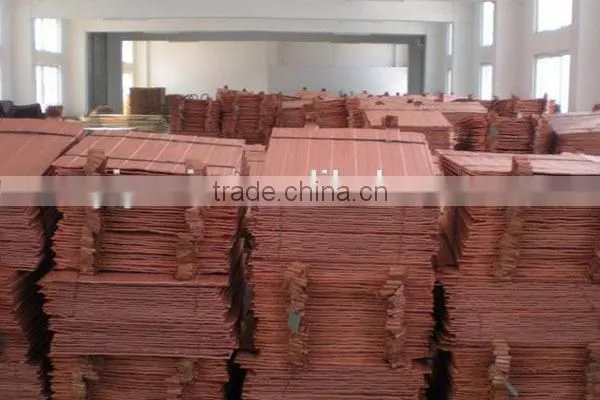 High Quality Copper Cathode Hot Sale (B66)