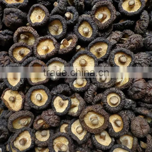 Presell !! Winter Shiitake With Good Price photo-5