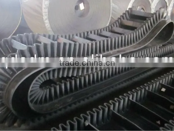 Line Belt Conveyer Belt Conveyer Band