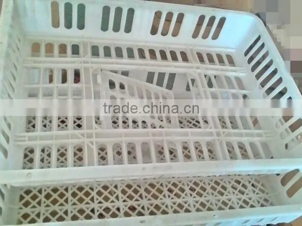 Plastic Turnover Box for Chickens photo-6