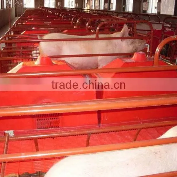 Farrowing Crates for Pigs/pig Farm Equipment photo-4