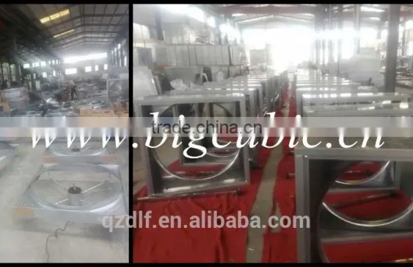 Muli-model DLFP Exhaust Fan for Greenhouse/poultry photo-5