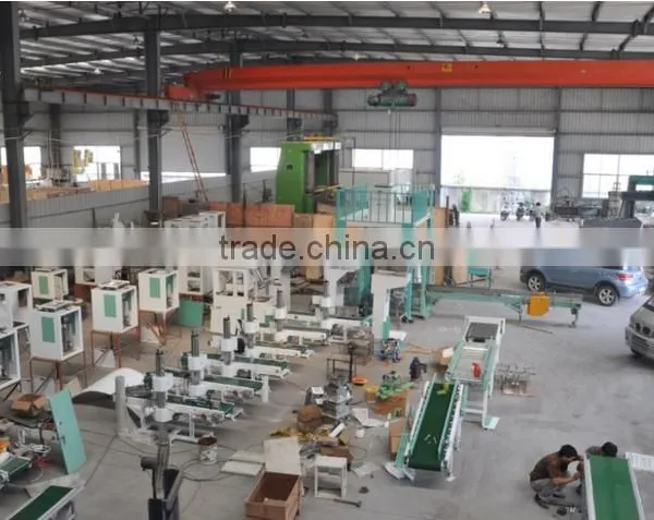 Auto Flour Packing Machine to Pack Wheat Flour photo-3