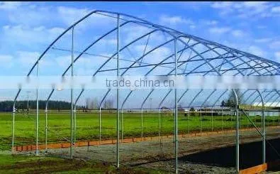 Gothic Arch Greenhouse for Sale Commercial Greenhouse photo-3