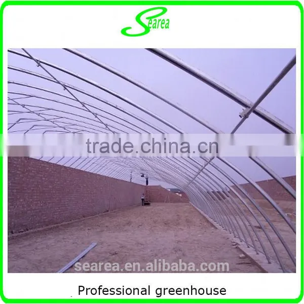 Plastic Arch Greenhouse for Sale From Big Greenhouse Manufacturer in China photo-2