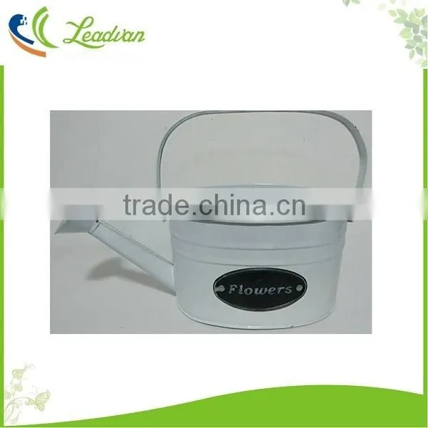 Mini Lovely Decorative Flowerpot Metal Watering Can