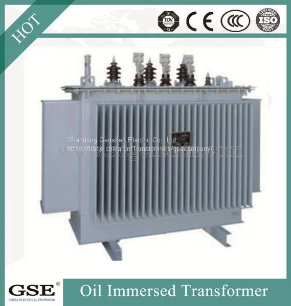 Power Transformer/Oil Immersed Power Distribution Transformer/800kVA Transformer photo-3