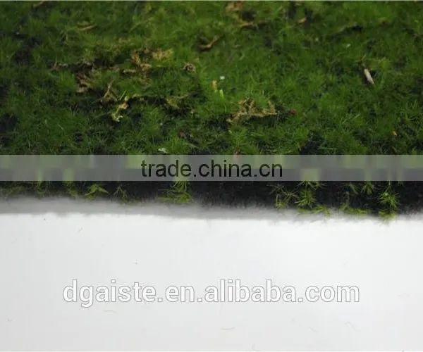 Man Made Thick Moss Carpet Moss Foam Products Flocking Wall photo-3