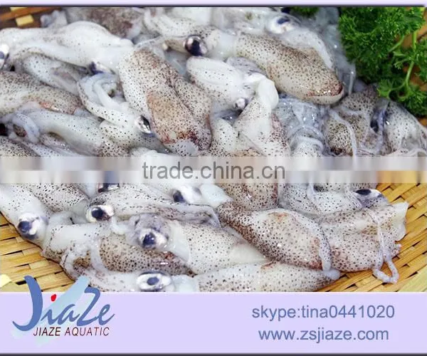 Zhoushan Sea Caught Frozen Baby Squid photo-3