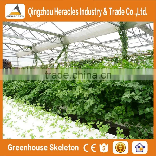 Heracles Trade Assurance Agricultural Commercial Greenhouse for Sale photo-4