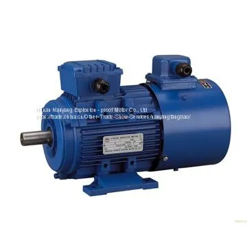 TYBPE (X)Permanent Magnet Explosion-proof Motor Manufacturer
