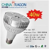 LED PAR30 40W Par Light Source Lamp