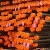 Sell High Collapse (HC) Pipe