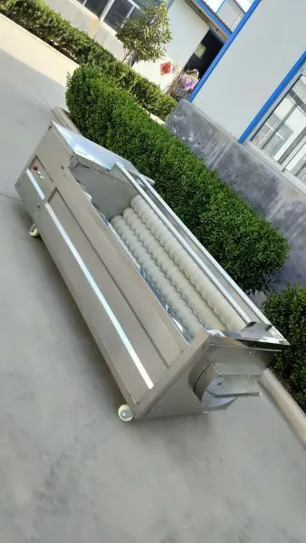 Bubble Washing Machine Tomato Washer