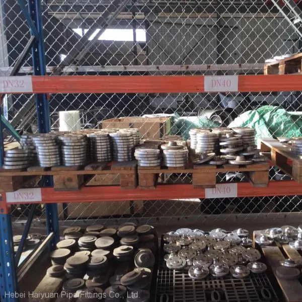 Flanges Forging Flange Pipe Fitting photo-4