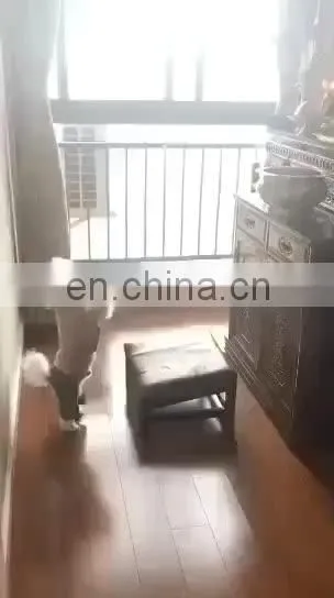 I@home Washable Cute Cartoon Wholesale China Cheap Velvet Pet Dog Beds Furniture