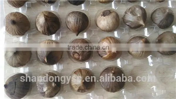 Garlic Supplier for Natural Garlic, Solo Garlic, Black Garlic, Peeled Garlic, Garlic Flake
