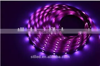 New Arrive Flexible 5050 Ws2812-150 DC 5V 12V 30leds Addressable RGB Led Strip From Shenzhen Technology co Ltd photo-3