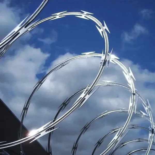 Hot Dip Galvanized Hot Sell Fencing Type Razor Barbed Wire for Sale